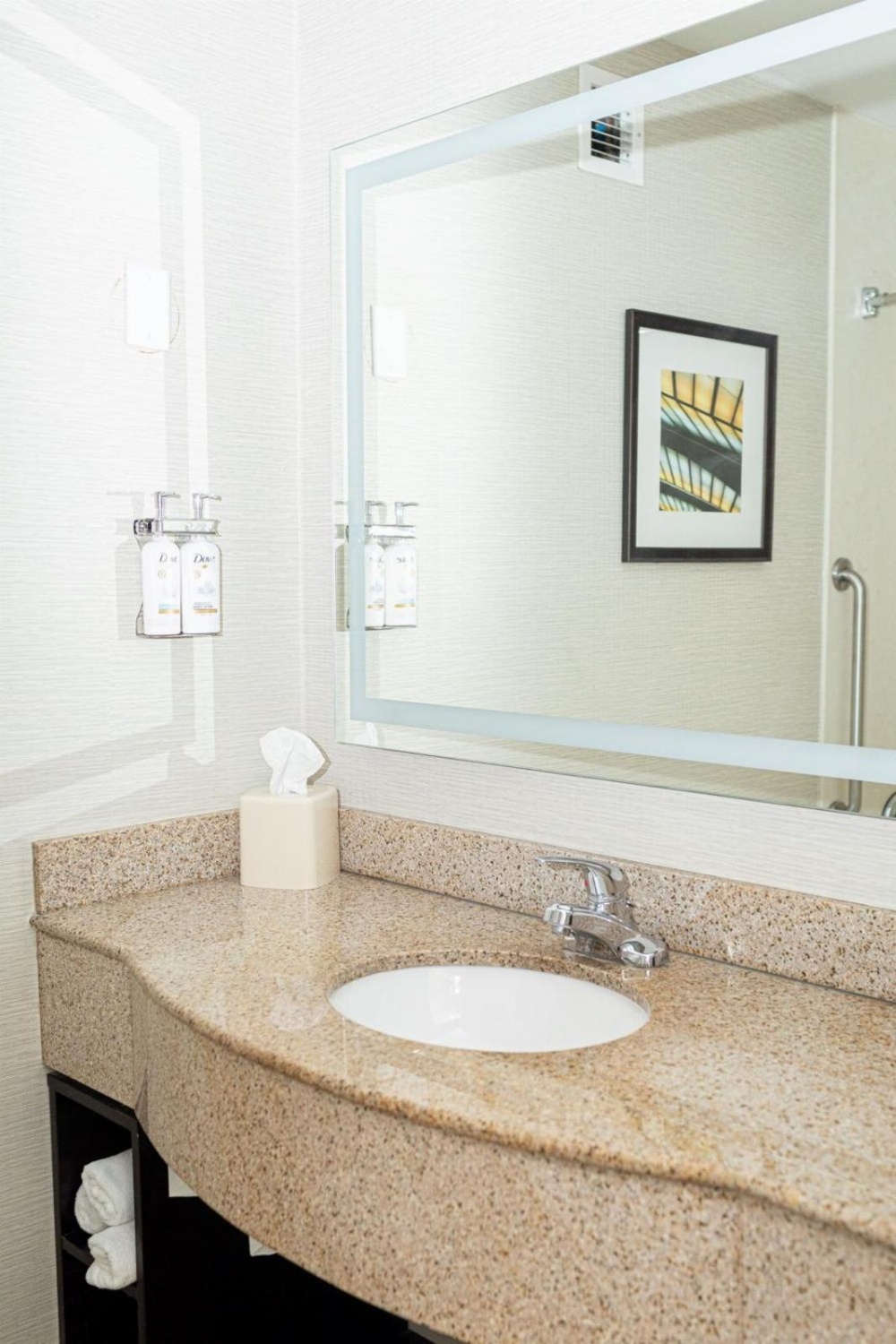 Holiday Inn Effingham